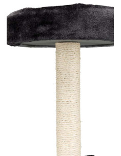 Junior Tarifa klöspelare, 52 cm 2