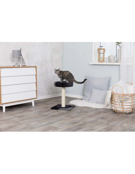 Junior Tarifa klöspelare, 52 cm