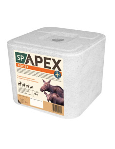 Saltsten Apex Boost 10KG