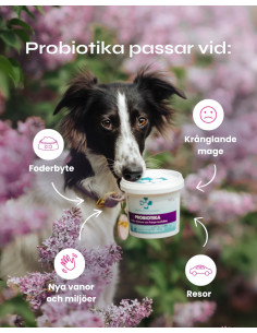 Probiotika 2
