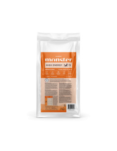 Monster Classic High Energy