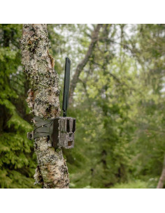 Hunter OBI Light Plus 2