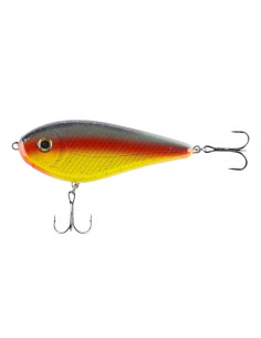 The Guide 10cm