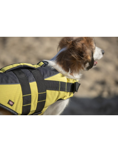 Flytväst för hund