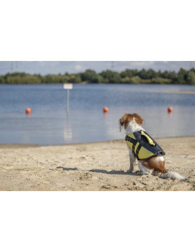 Flytväst för hund