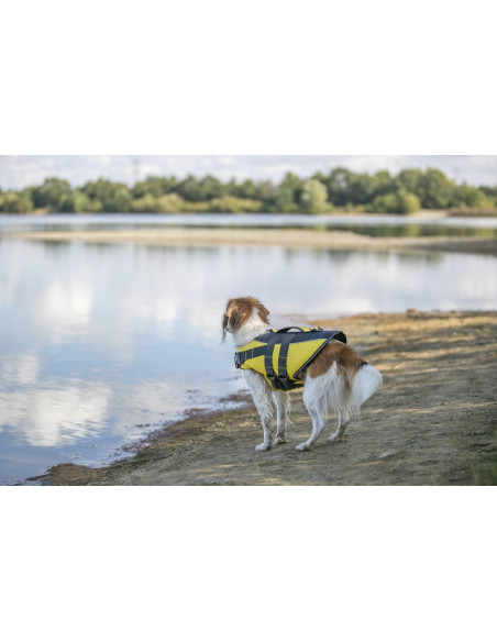Flytväst för hund