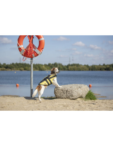 Flytväst för hund