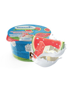 Frozen Yoghurt 100ml