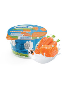 Frozen Yoghurt 100ml 2