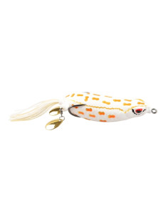 IFISH TT Frog