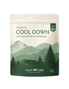 Hunt Core - Cool Down
