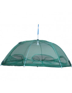 Wiggler Paraplymjärde