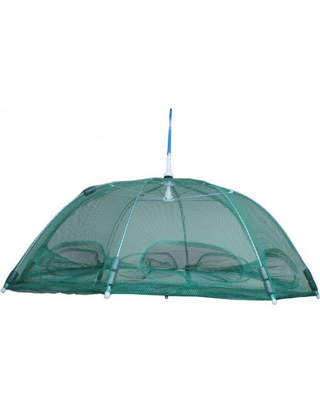 Wiggler Paraplymjärde