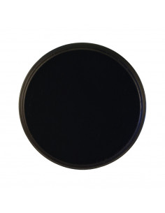 Trofésköld vildsvin/Bäver