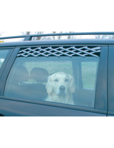 Ventilationsgaller till bilruta 2