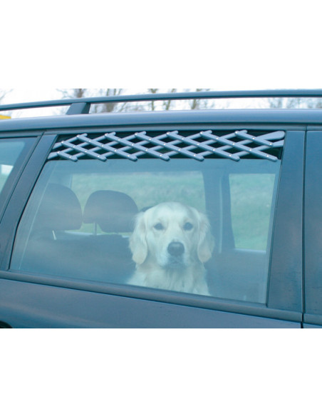 Ventilationsgaller till bilruta