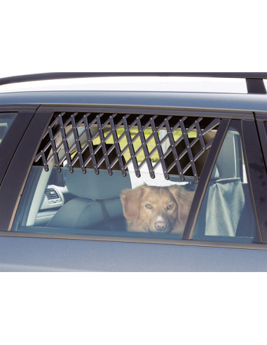 Ventilationsgaller till bilruta