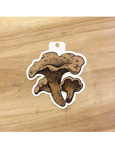 EKLIDS OUTDOOR klistermärke: "Kantareller"