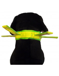 Reflexhalsband med flärpar 2