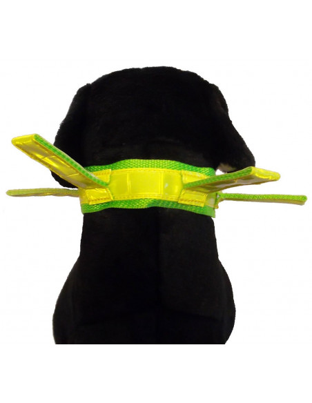 Reflexhalsband med flärpar
