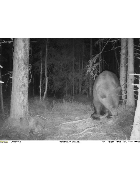 UOVision Compact 4G Åtelkamera