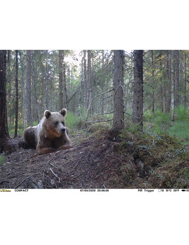 UOVision Compact 4G Åtelkamera