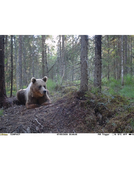 UOVision Compact 4G Åtelkamera