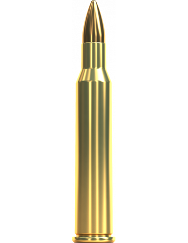 S&B 5,6x50R Mag 3,24g 50grs FMJ