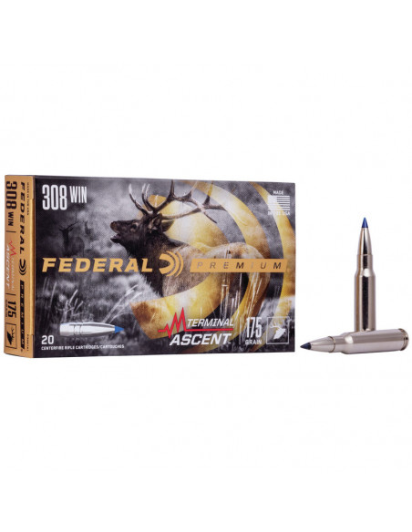 Federal Terminal Ascent