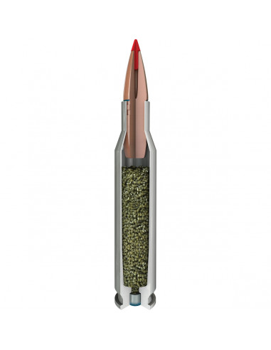 Hornady Outfitter 308 W 165 gr CX