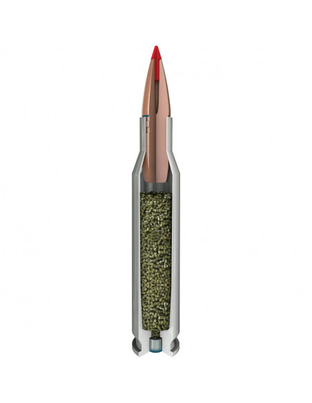 Hornady Outfitter 308 W 165 gr CX