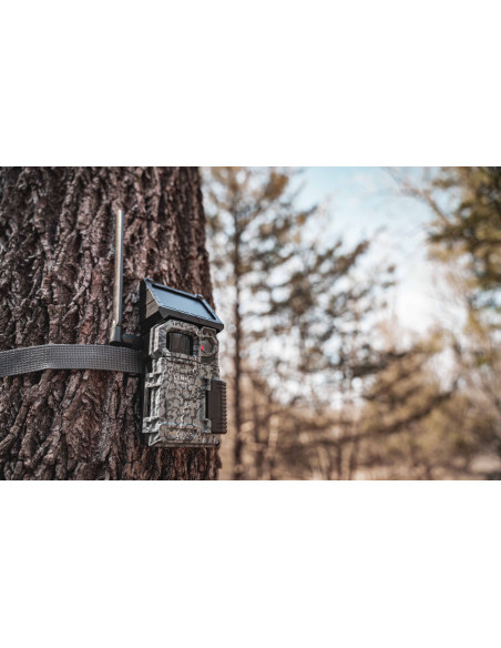 Spypoint Link Micro S LTE