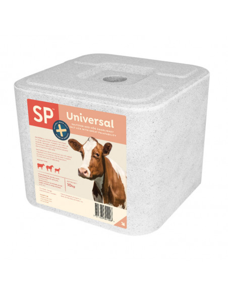 Saltsten 10KG, Vit Natursalt
