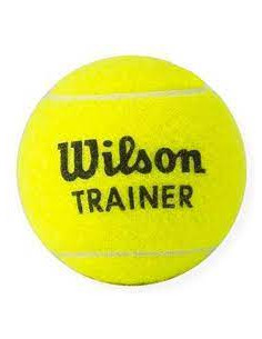 Tennisboll Wilson Trainer
