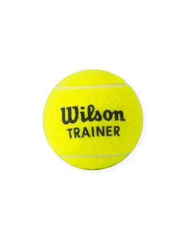 Tennisboll Wilson Trainer
