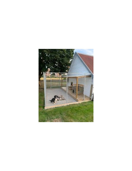 Hundgård XL - 29 kvm