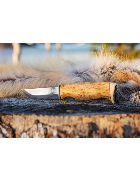 Jakt kniv (Rostfritt stål, masurbjörk)