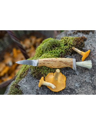 Svamp kniv (Rostfritt stål, masurbjörk)