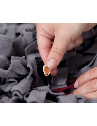 SNIFFING CARPET - NIVÅ 1