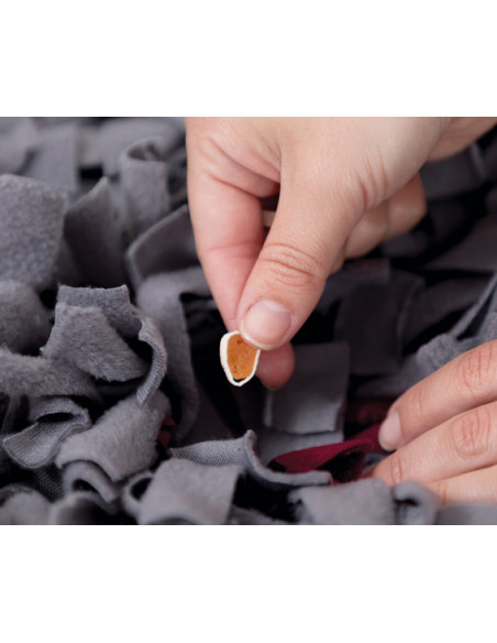 SNIFFING CARPET - NIVÅ 1