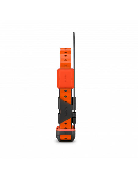 Garmin Alpha T20 Hundhalsband