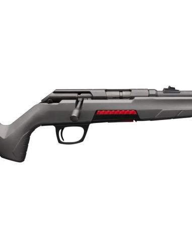 Winchester Xpert Kal. 22 LR