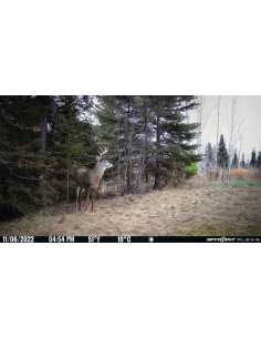 Övervakningskamera Spypoint Flex-S 2