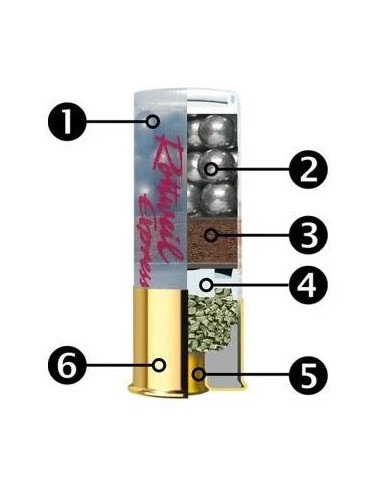 RW Express 12/67,5  8,6mm 9 Hagel