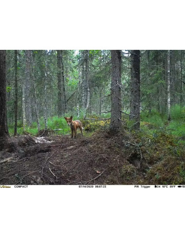 UOVision Compact (Inbyggt SIM) Övervakningskamera