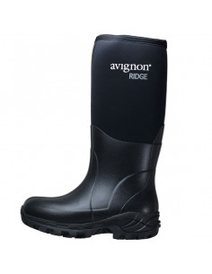 Avignon Ridge High -60°