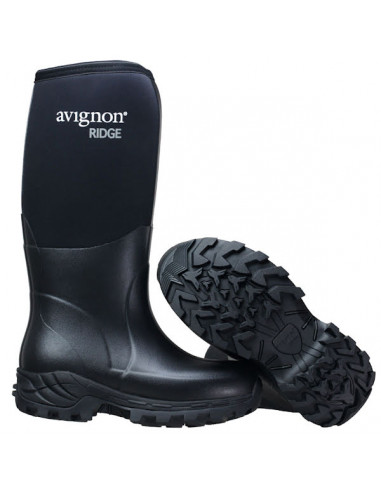 Avignon Ridge High -60°