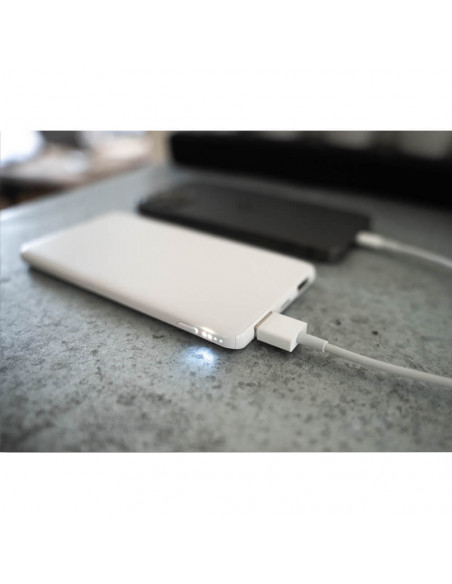 Powerbank