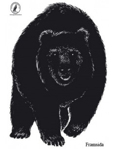 Björn Front Papper - Björnpasset