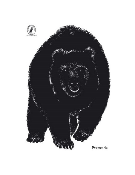 Björn Front Papper - Björnpasset